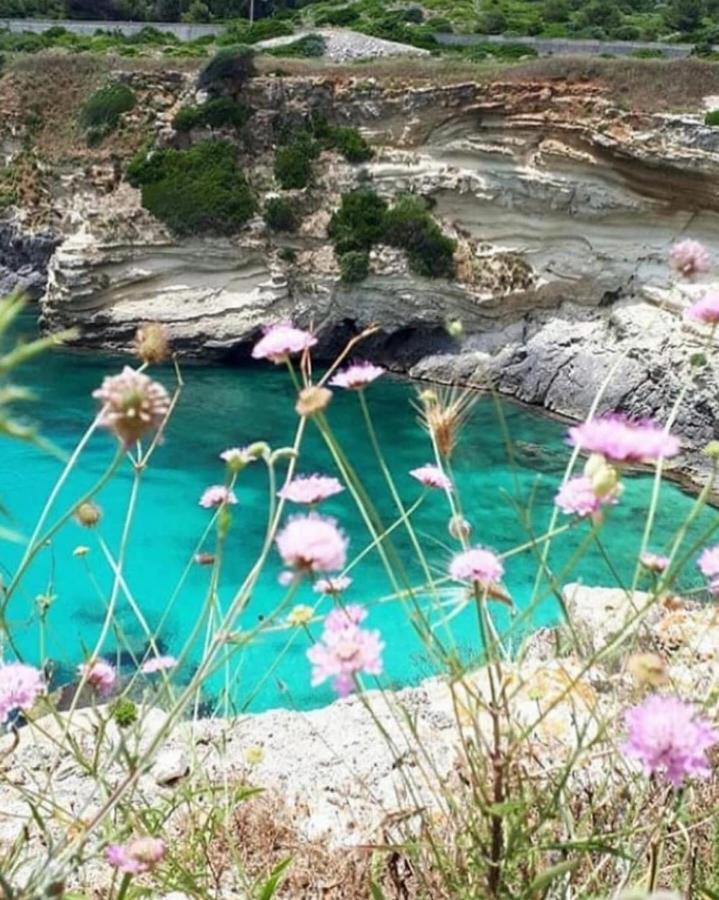 Villaelena Marittima Dış mekan fotoğraf